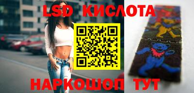 индика Гусь-Хрустальный