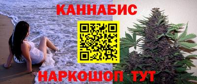 индика Гусь-Хрустальный