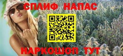 индика Гусь-Хрустальный