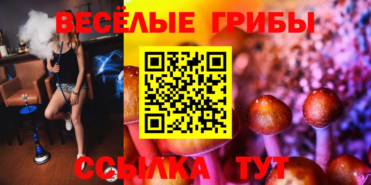 Псилоцибиновые грибы Psilocybine cubensis  Вход с VPN  Киреевск 